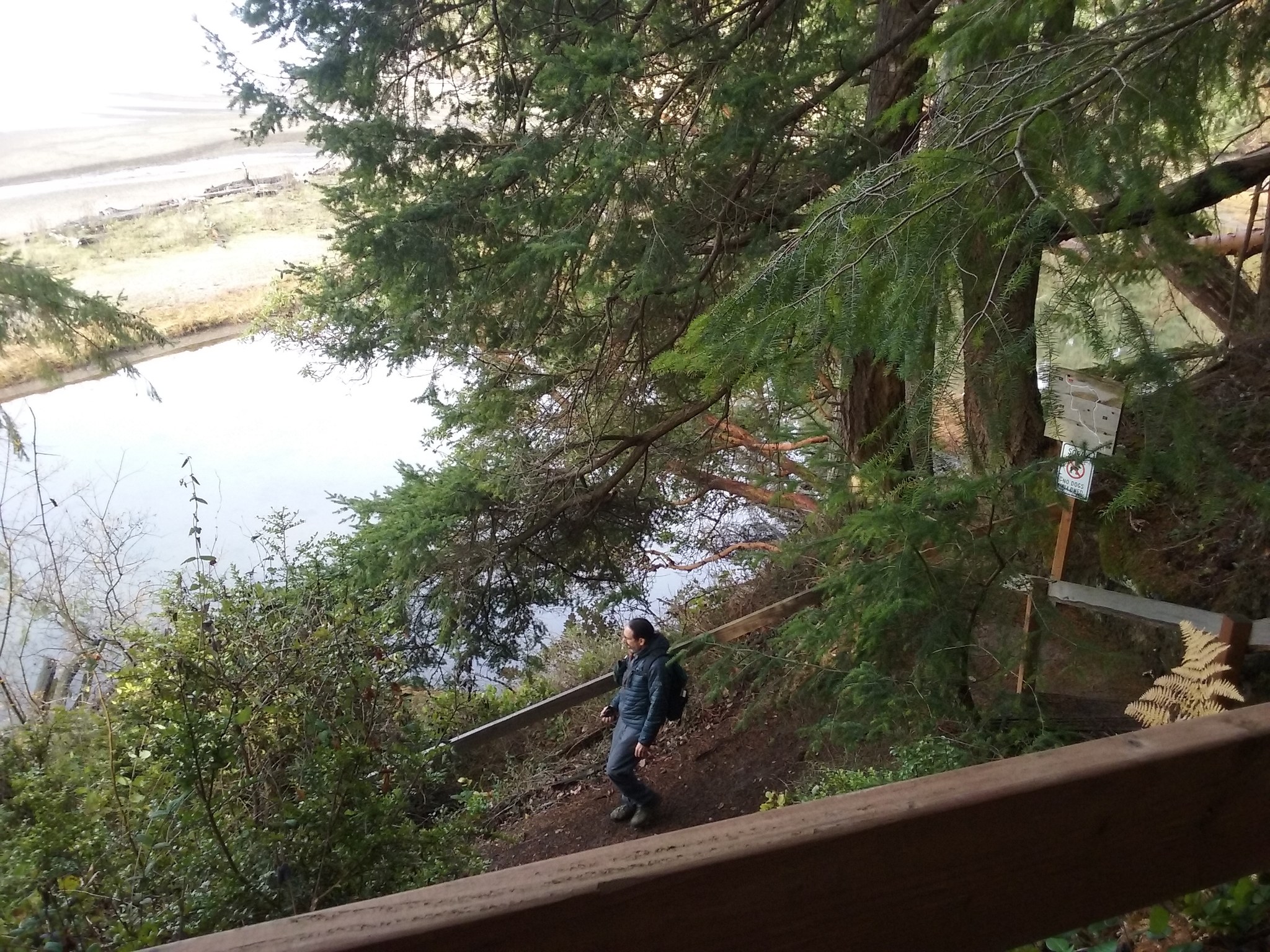 Anderson Island — Washington Trails Association